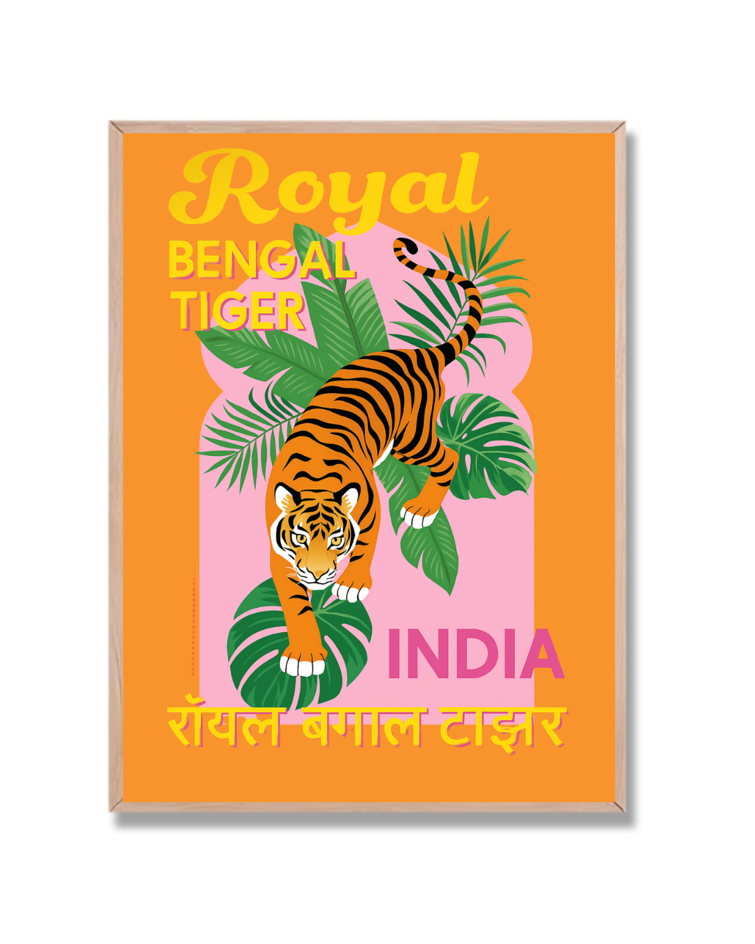 Tigre de Bengala India