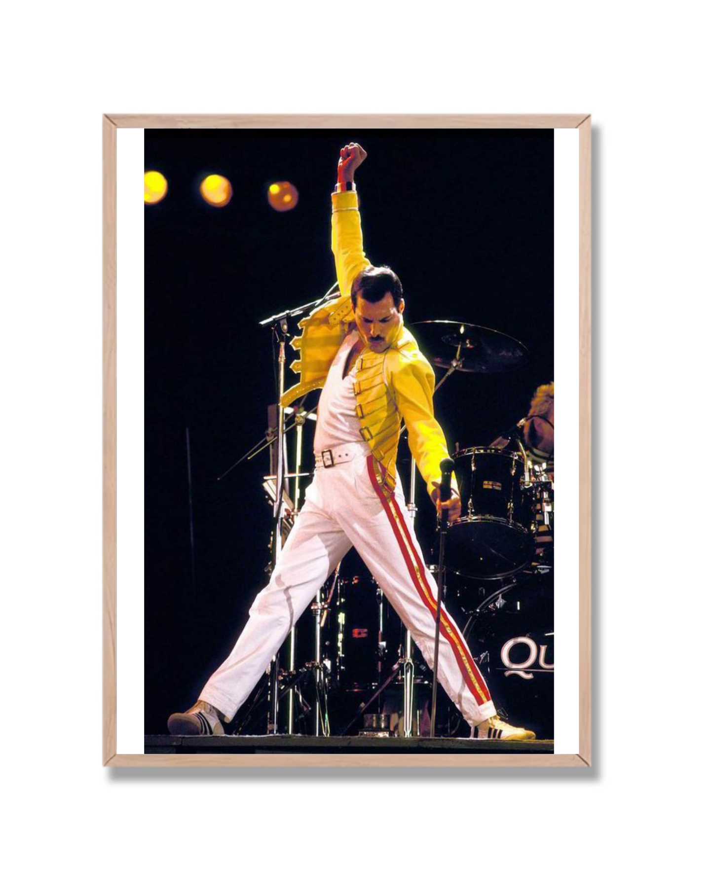 Freddy Mercury 4