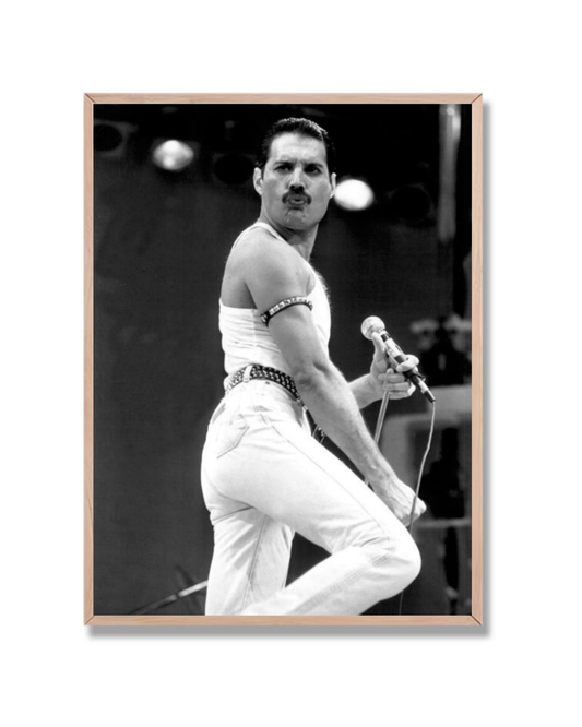 Freddy Mercury 5