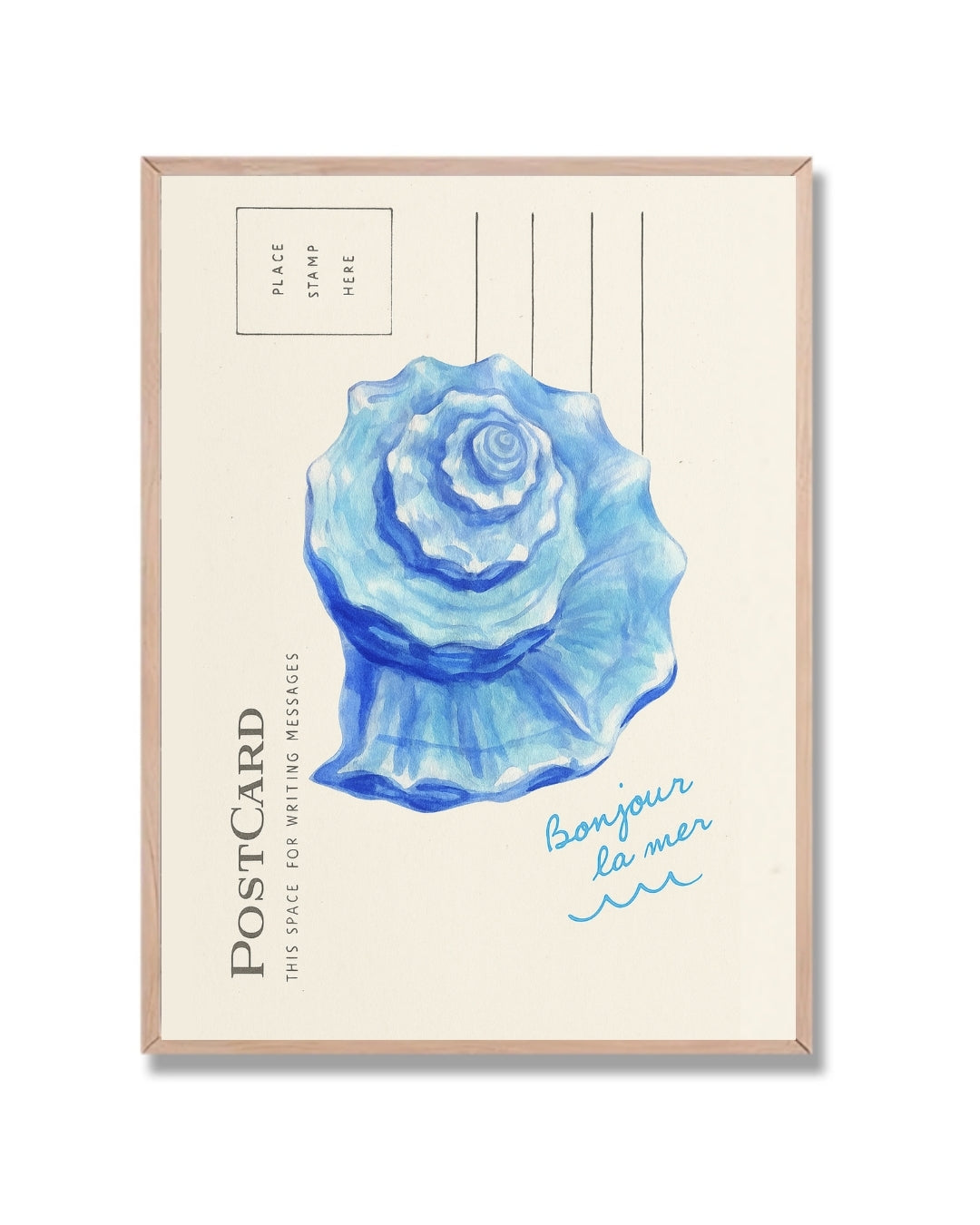 Postal caracol de mar