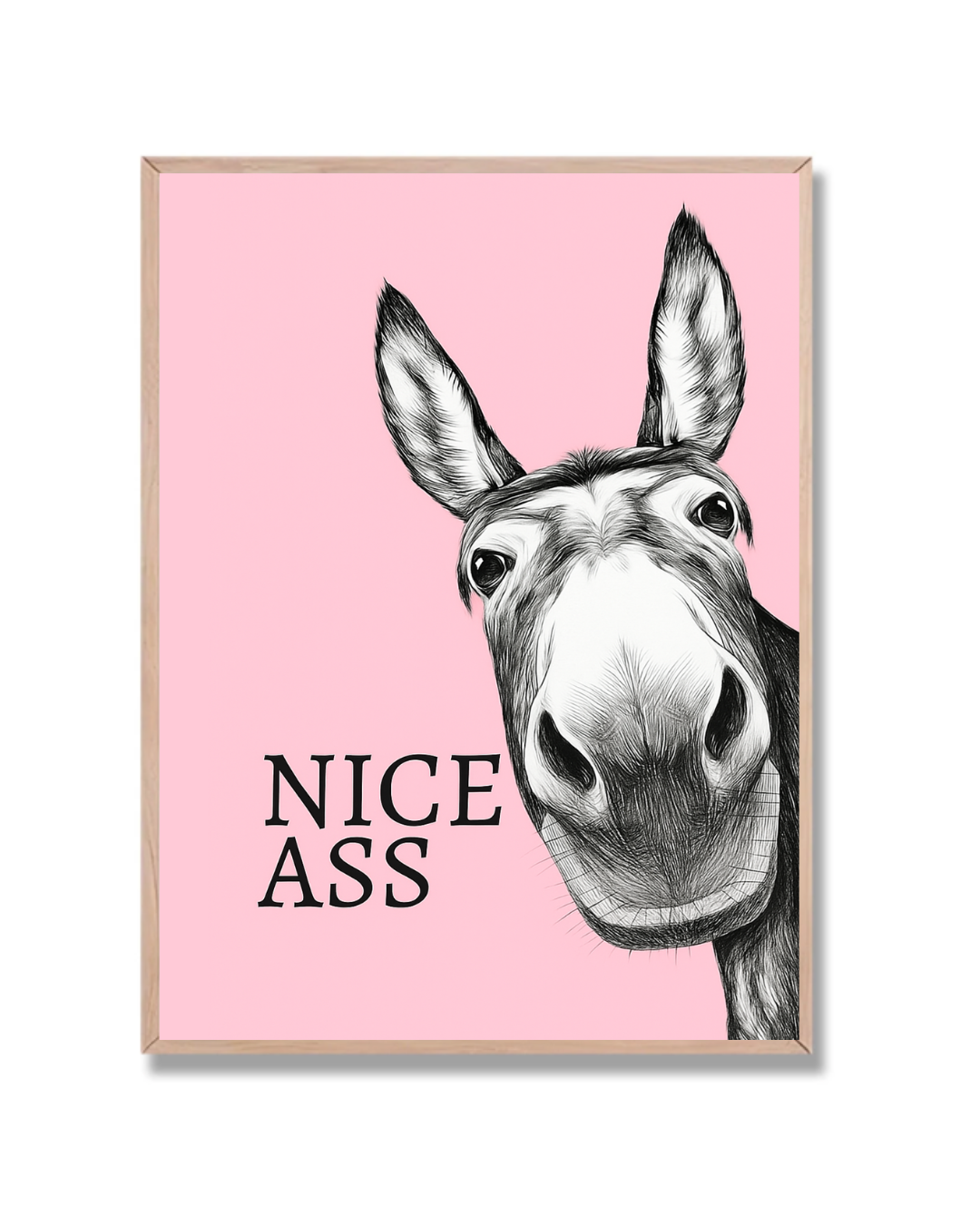 Nice Burro