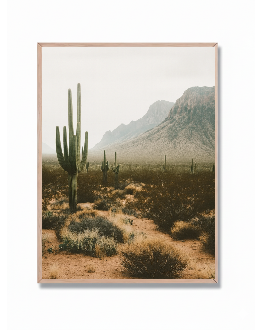 Cactús y Montañas #2