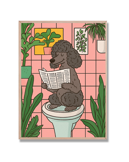 Caniche y su periódico