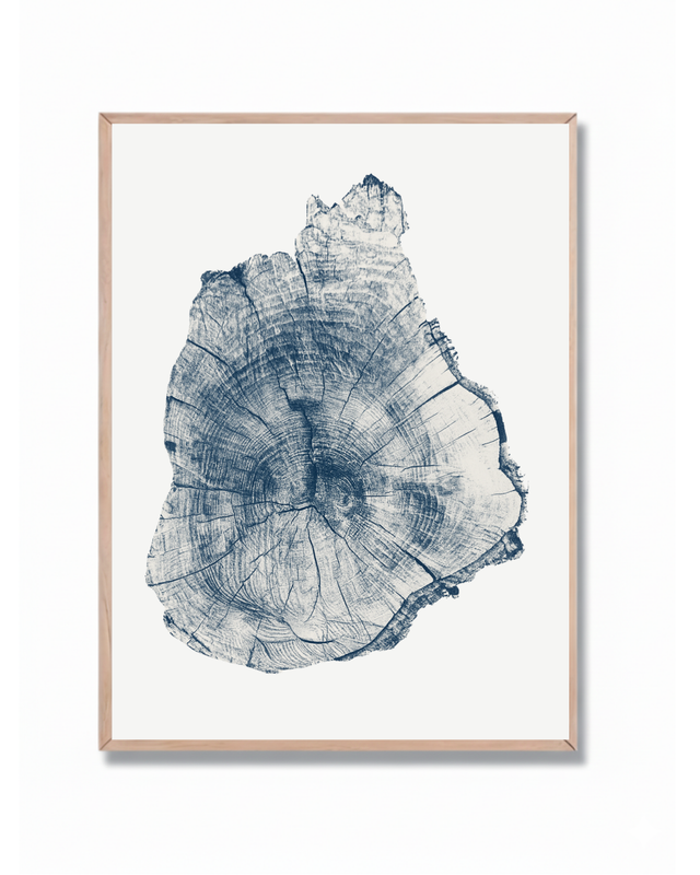 Anillos Árbol Azul #1