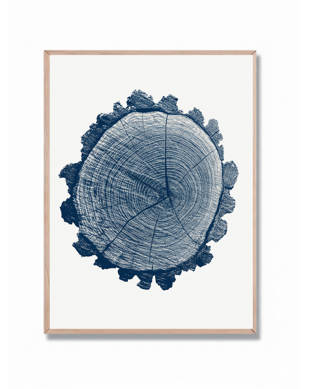 Anillos Árbol Azul #3