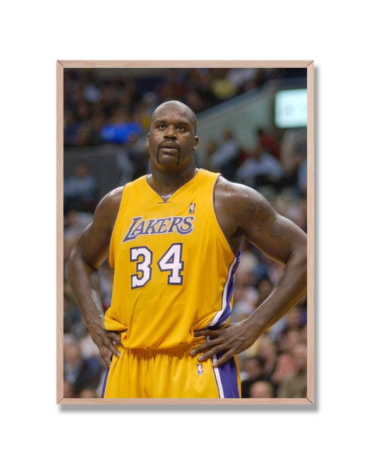 Shaquille O'Neal #2