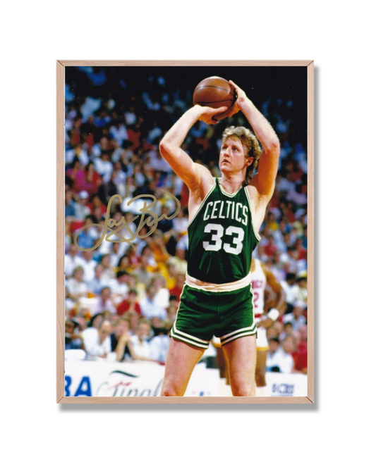 Larry Bird #3