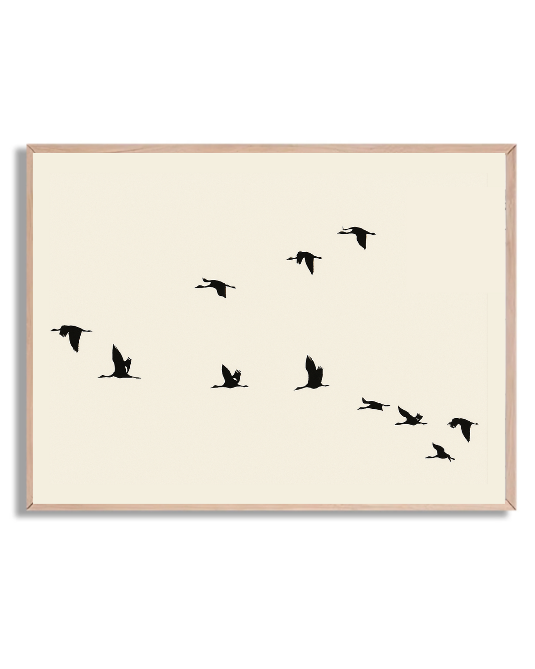 Aves en vuelo
