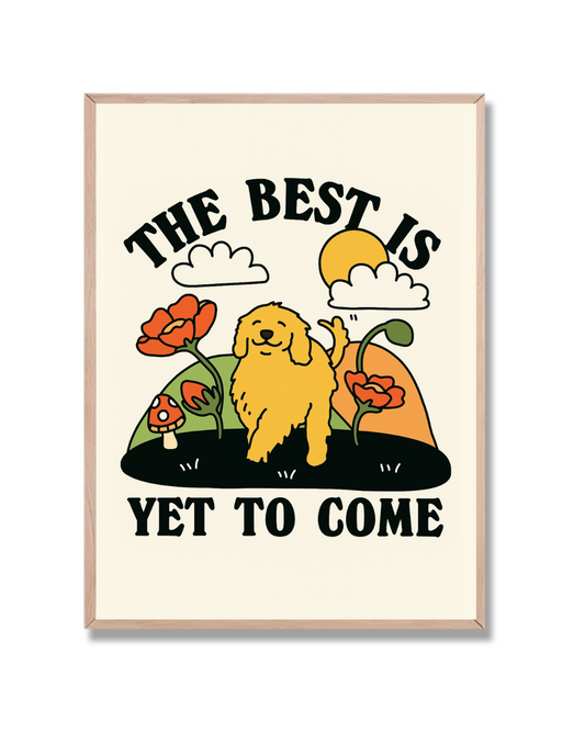 Día soleado con perro