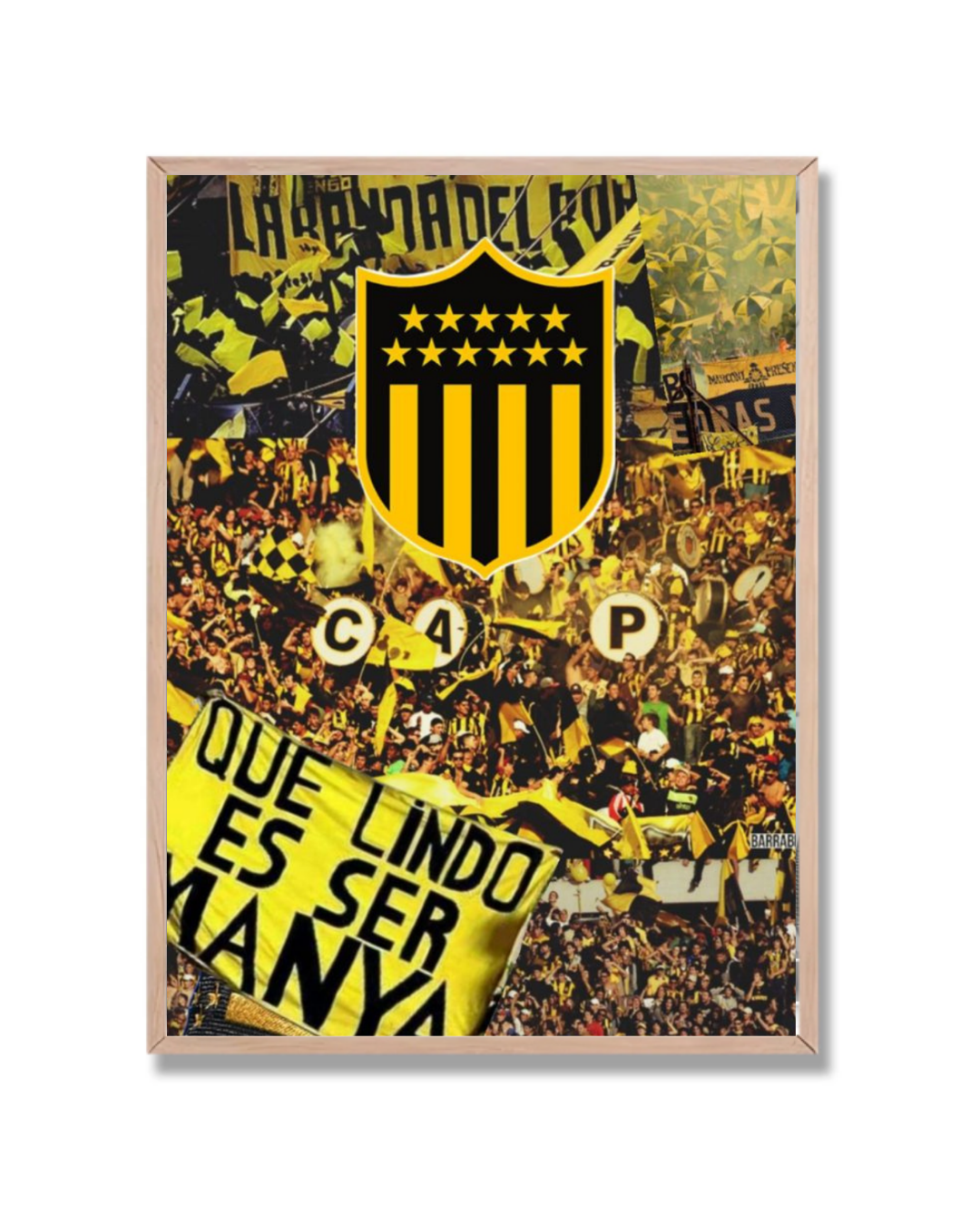 Peñarol hinchada