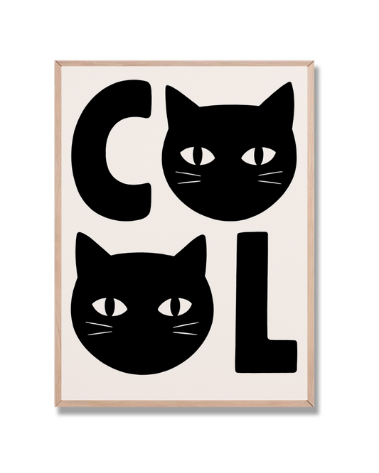 Gato Cool