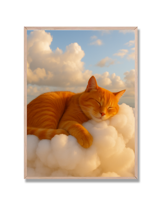Gato en nube