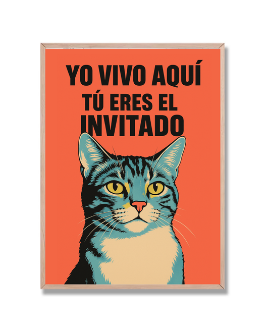 Gato Yo vivo aquí
