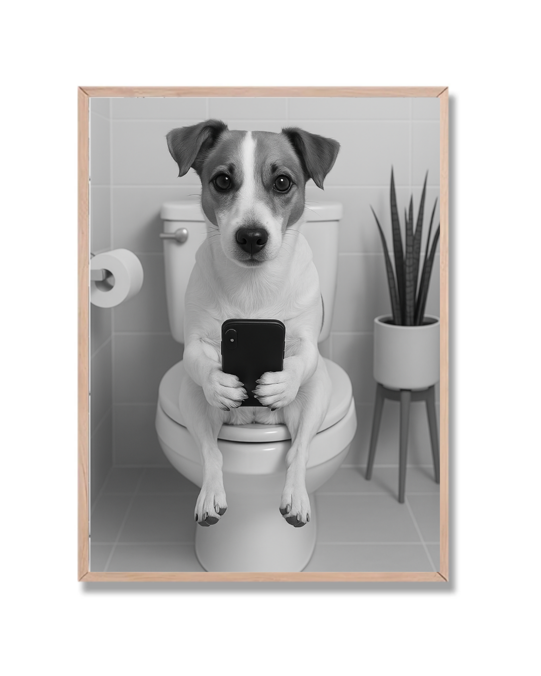 Baño y Celular
