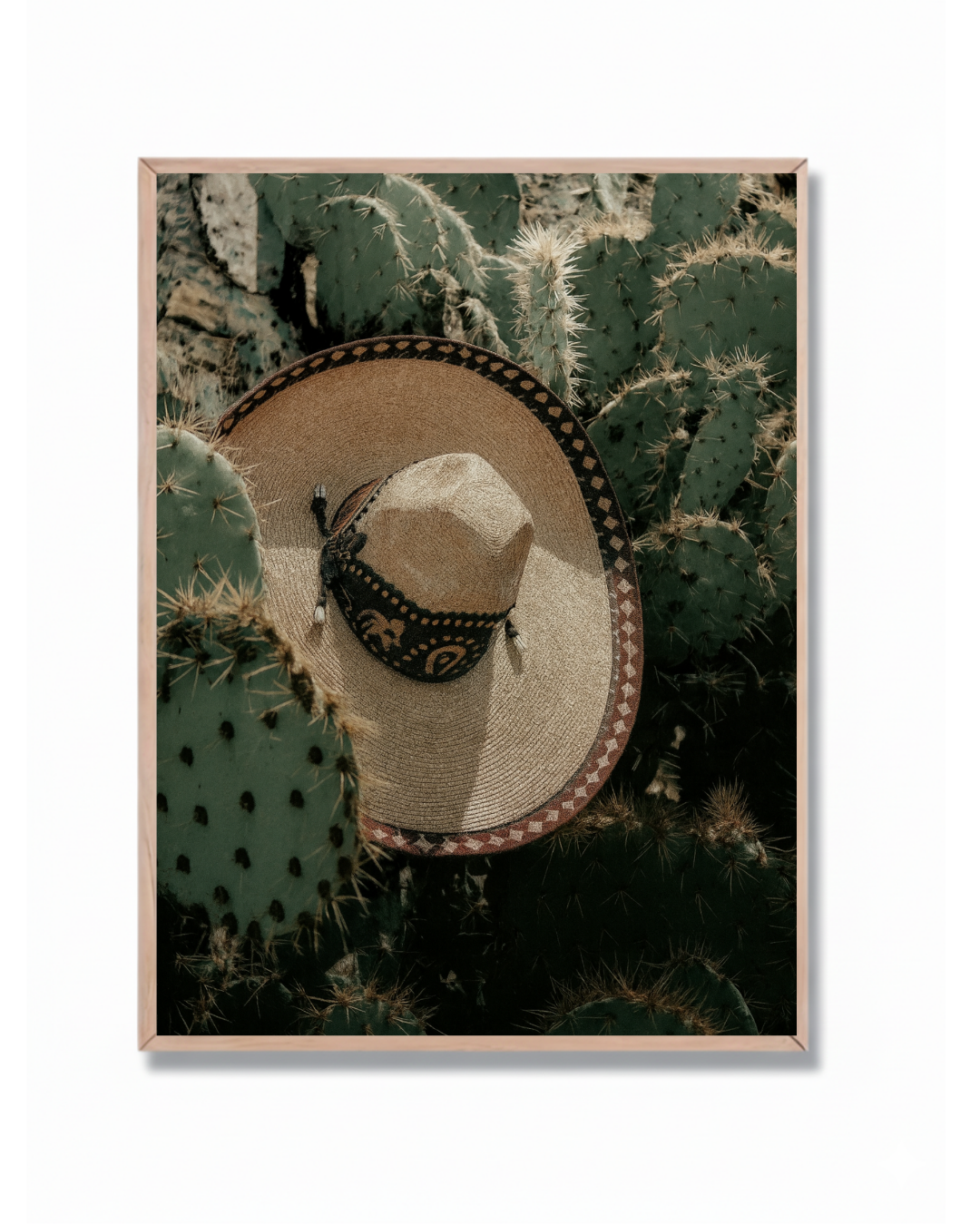 Sombrero sobre cactus