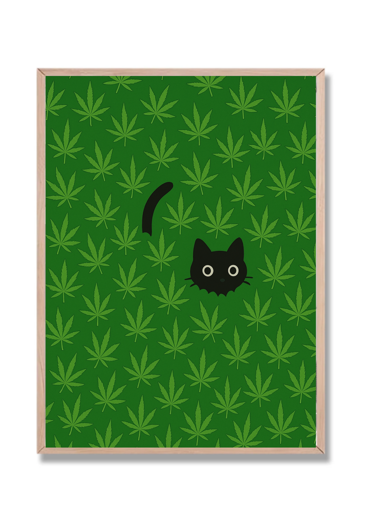 Gato Escondido Plantas