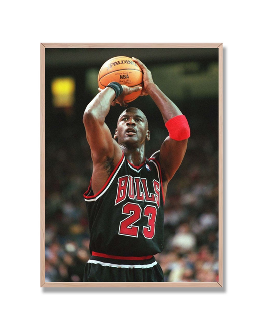 Michael Jordan #14