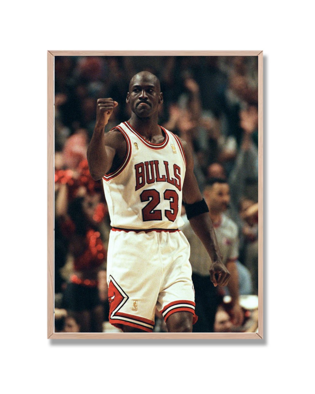 Michael Jordan #12