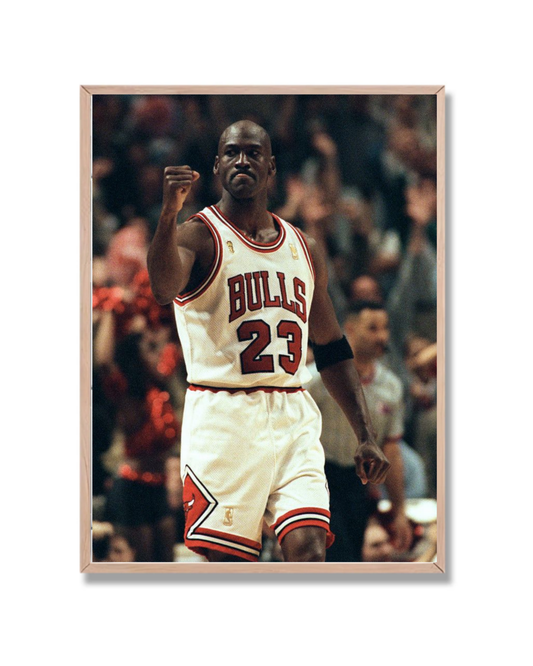 Michael Jordan #12