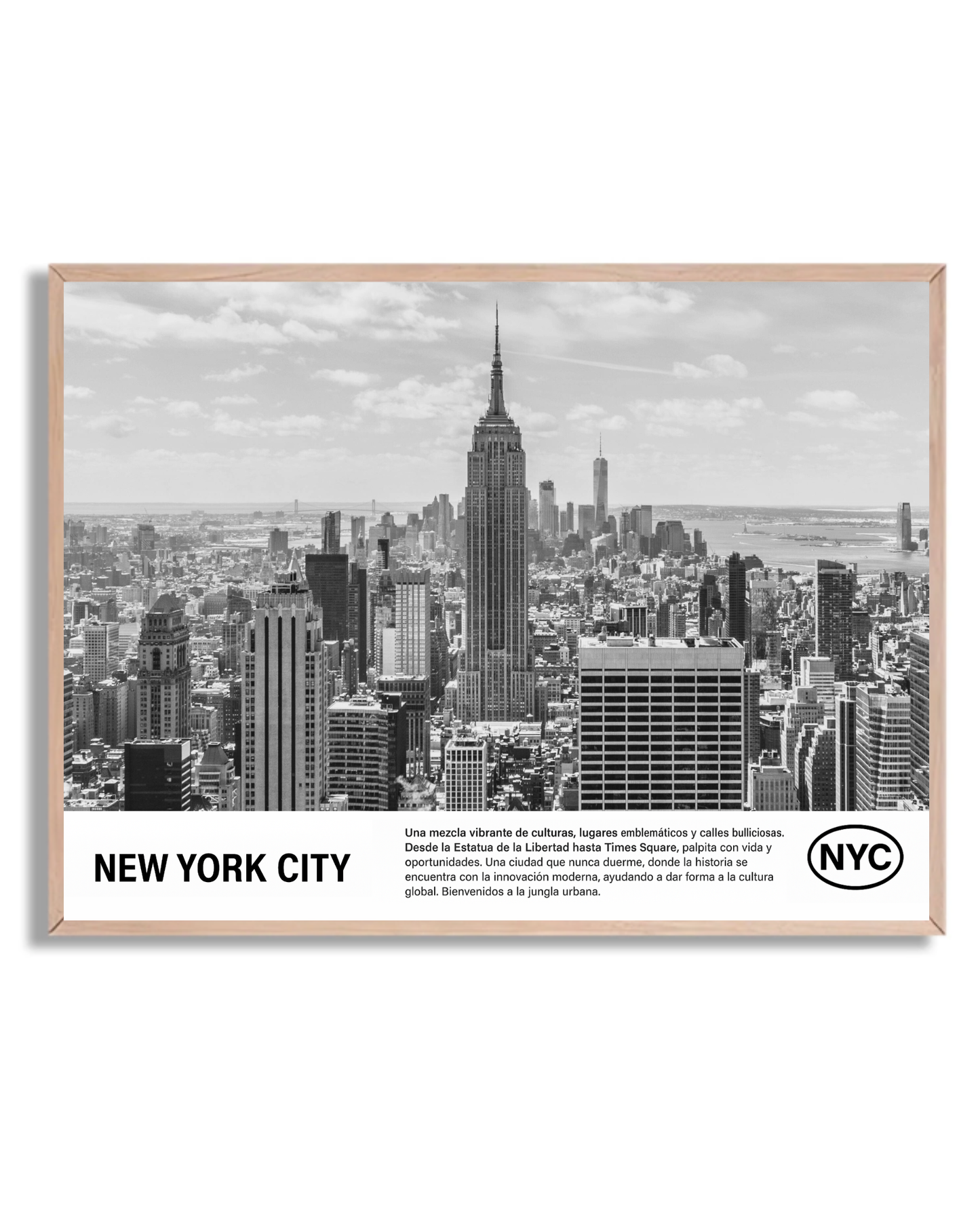New York 24
