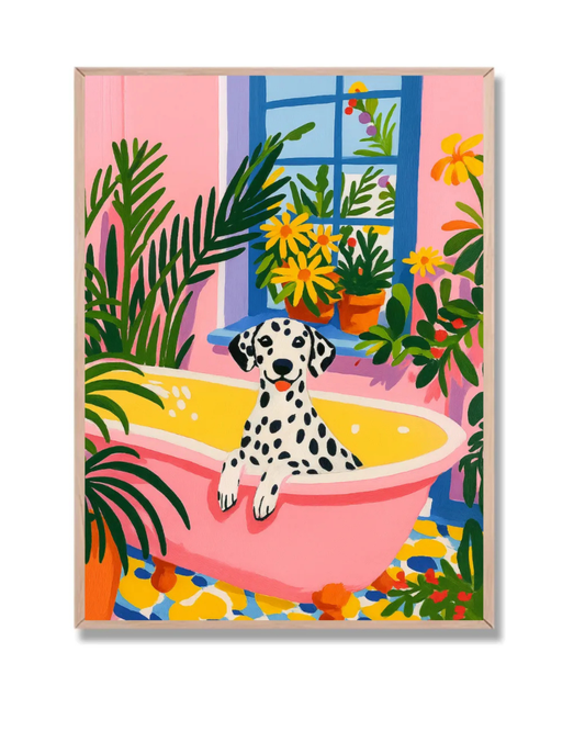 Perro Dálmata Baño