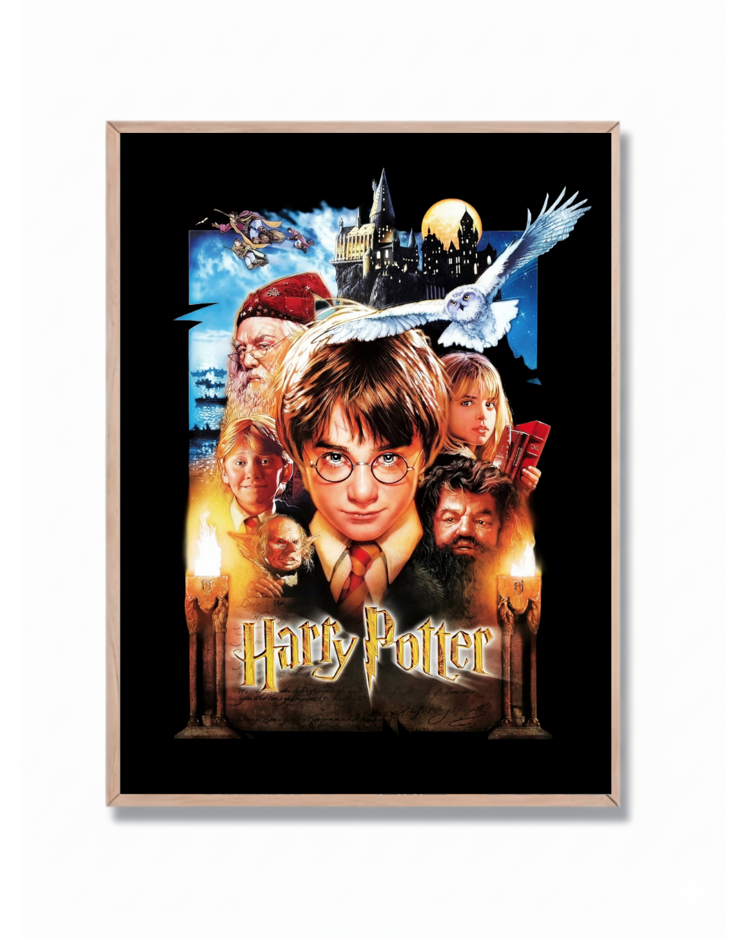 Harry Potter #2