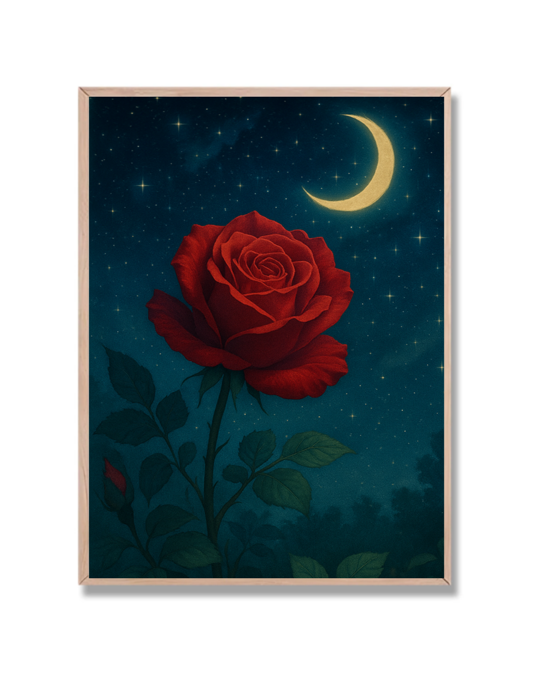 Rosa bajo las Estrellas