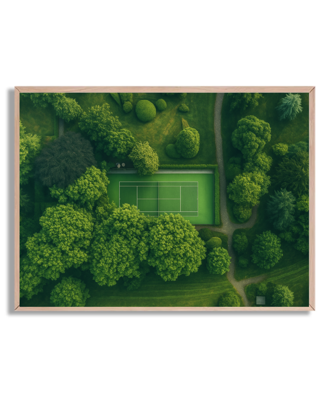 Cancha de tenis en el bosque