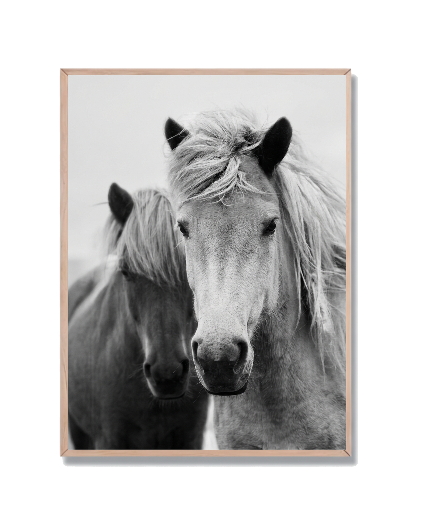 Caballos #7