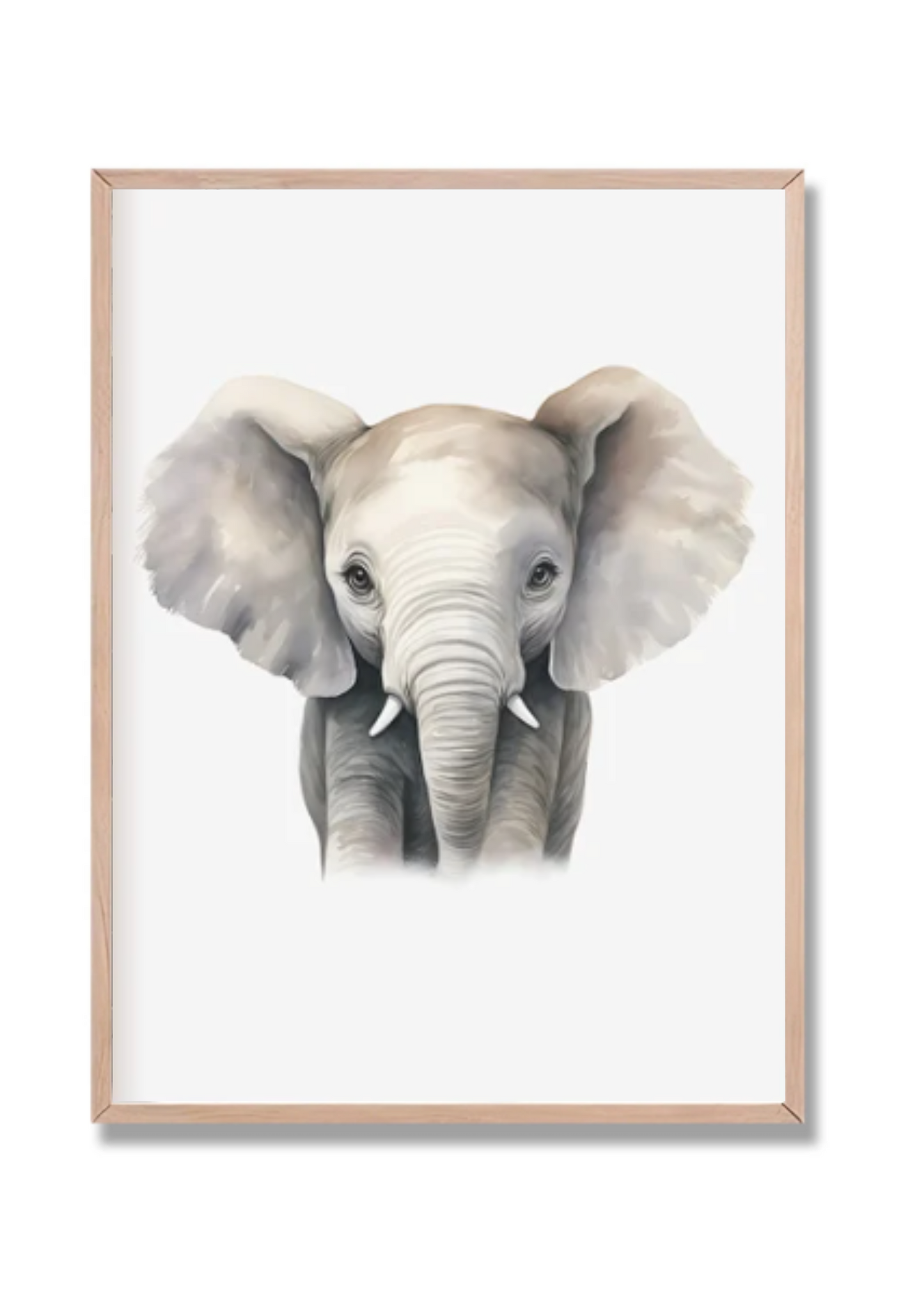 Safari 5