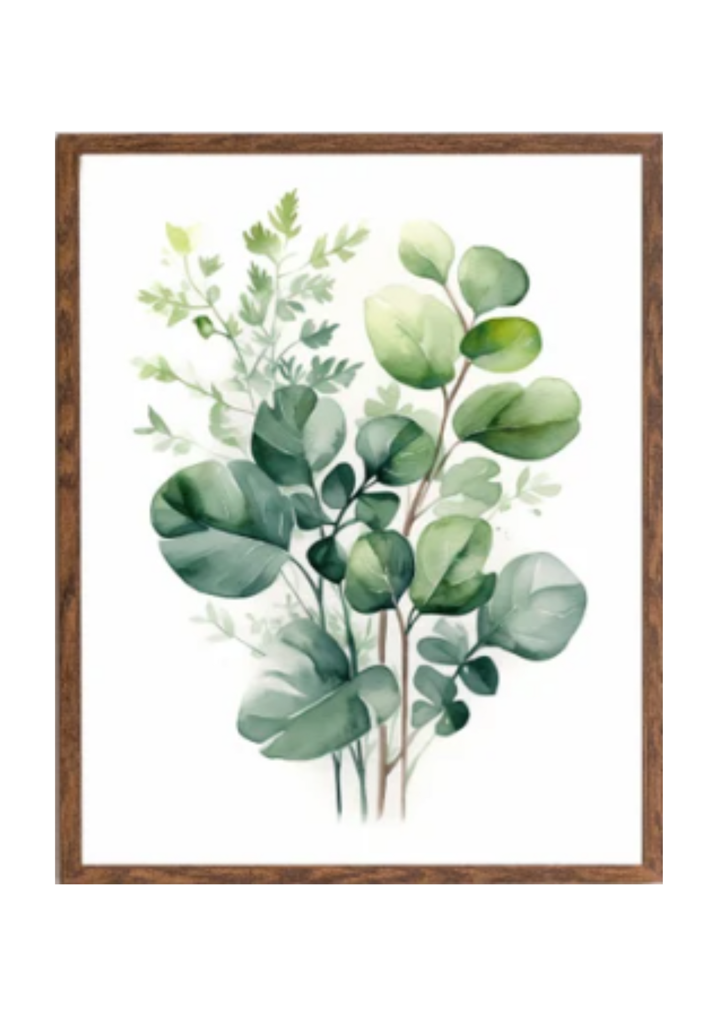 Planta 13