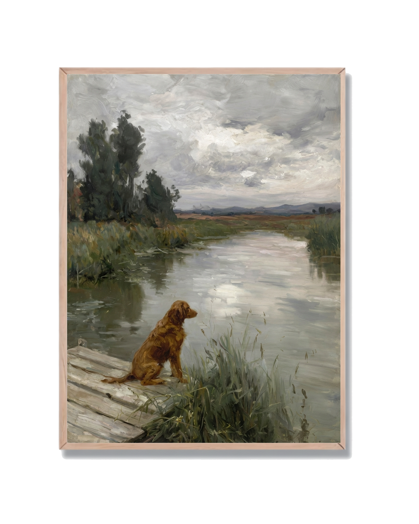 Perro Muelle Paisaje