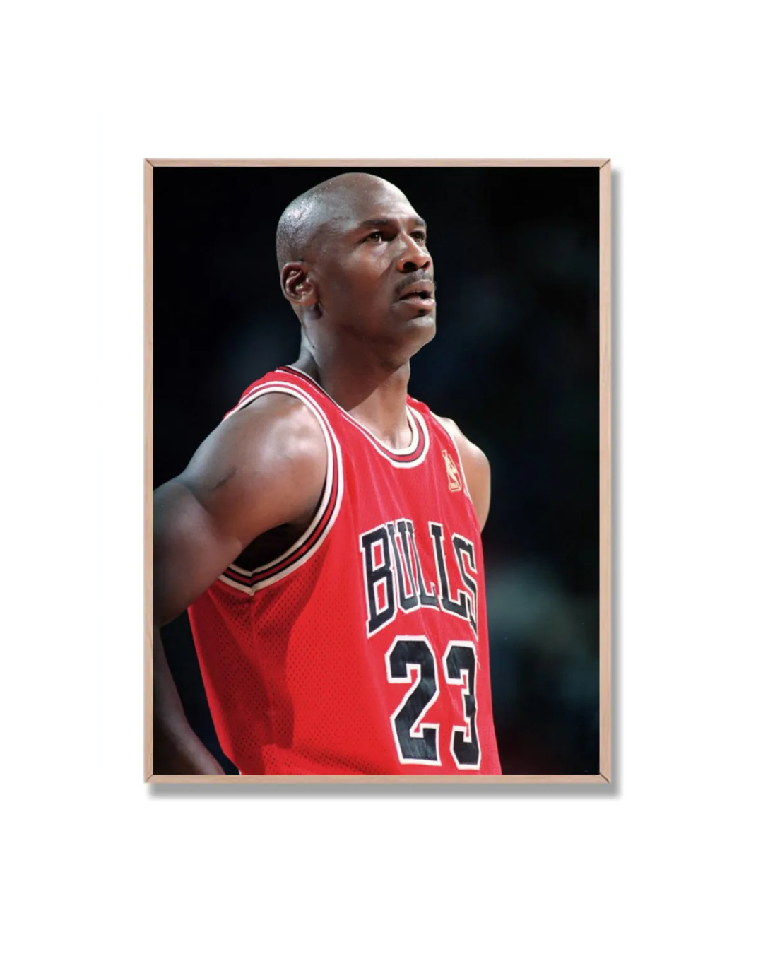 Michael Jordan #13