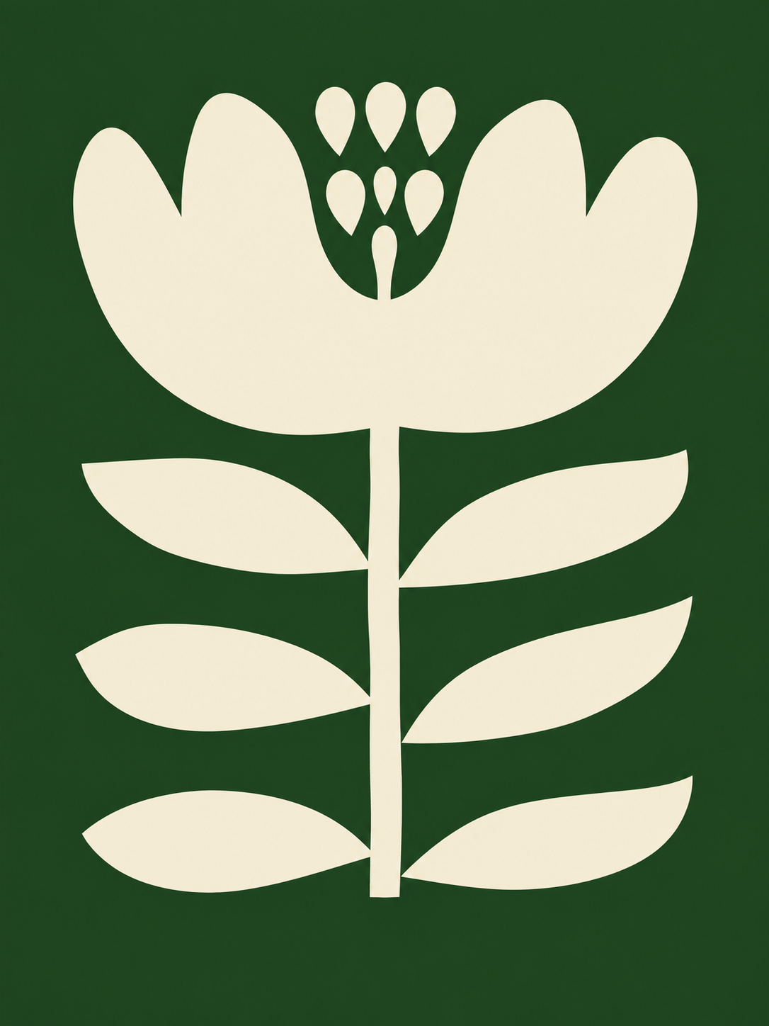 Planta Crema