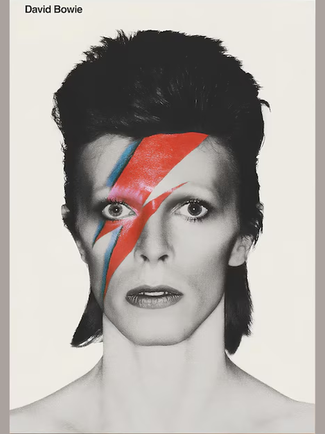 Ilustración 040 — David Bowie — cuadro individual