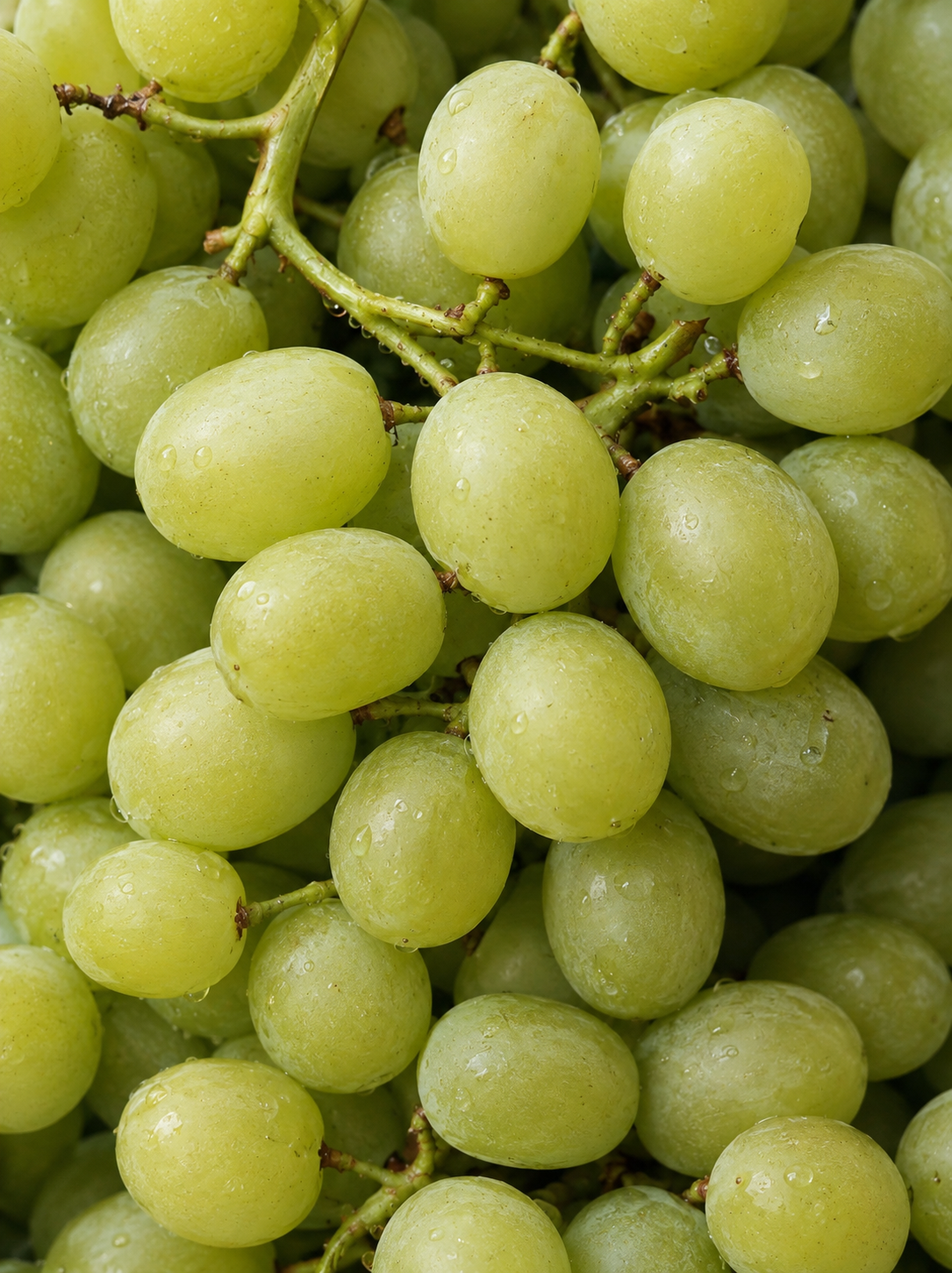 Uvas verdes naturales en fotografía macro de luz suave