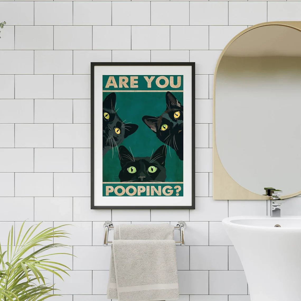 Gatos Baño