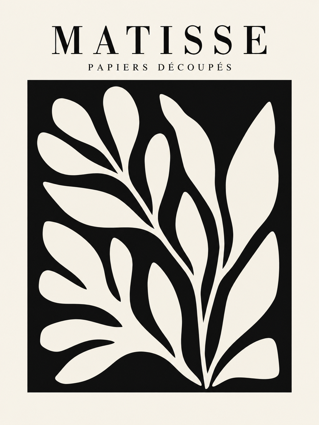 Matisse #105