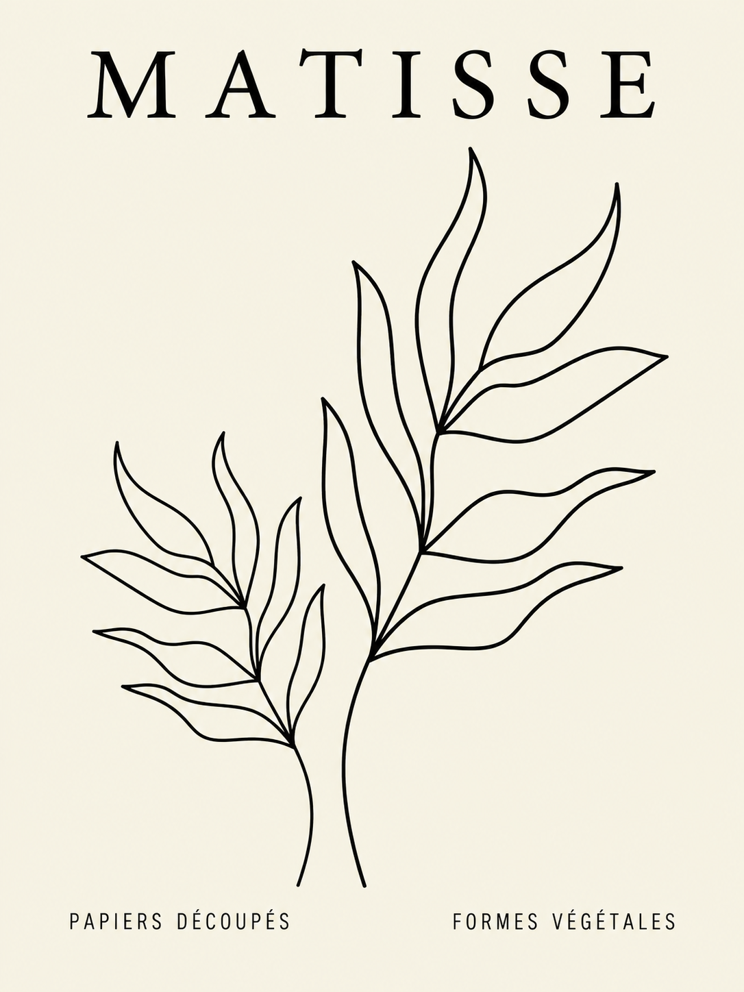 Matisse #13