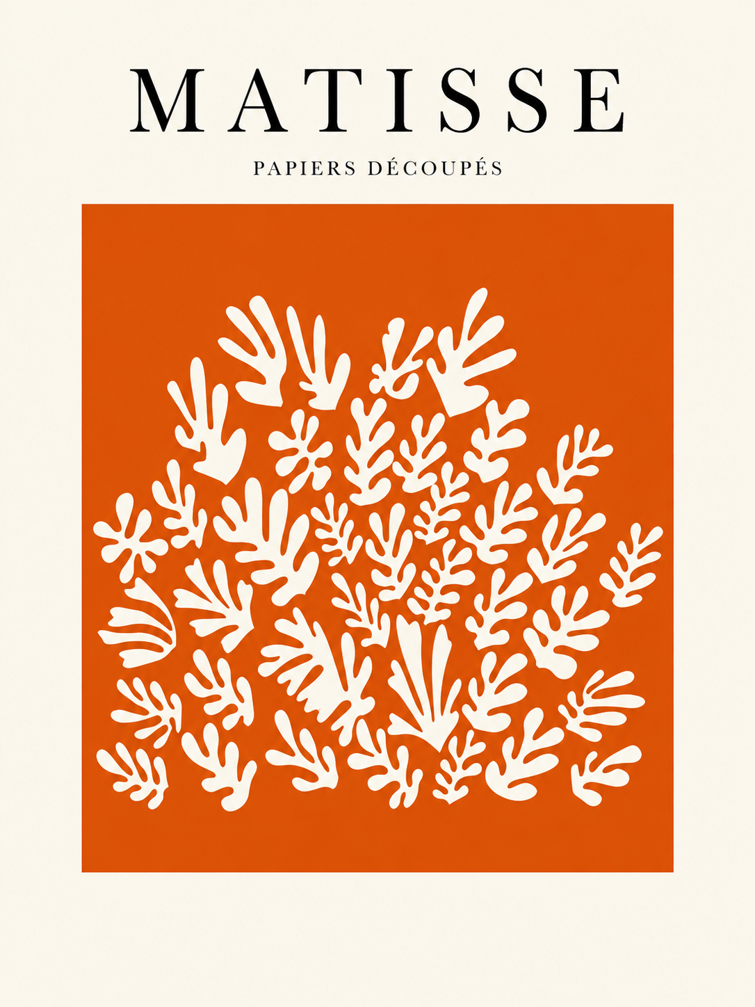 Matisse #202