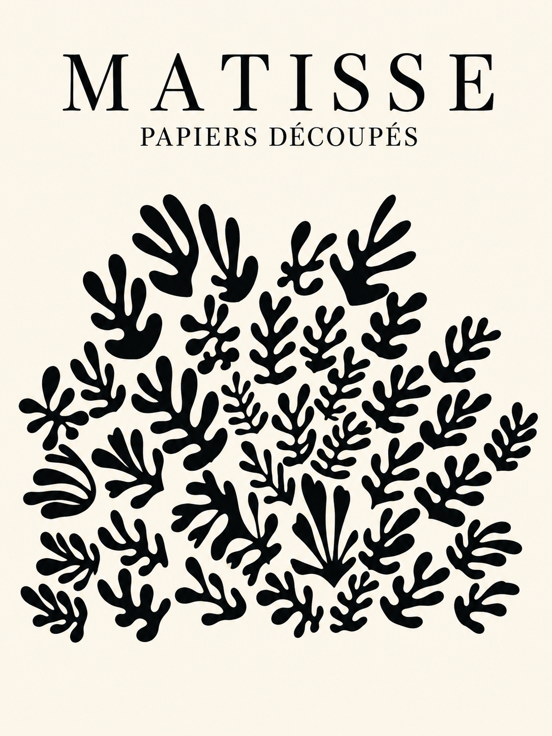 Matisse #205