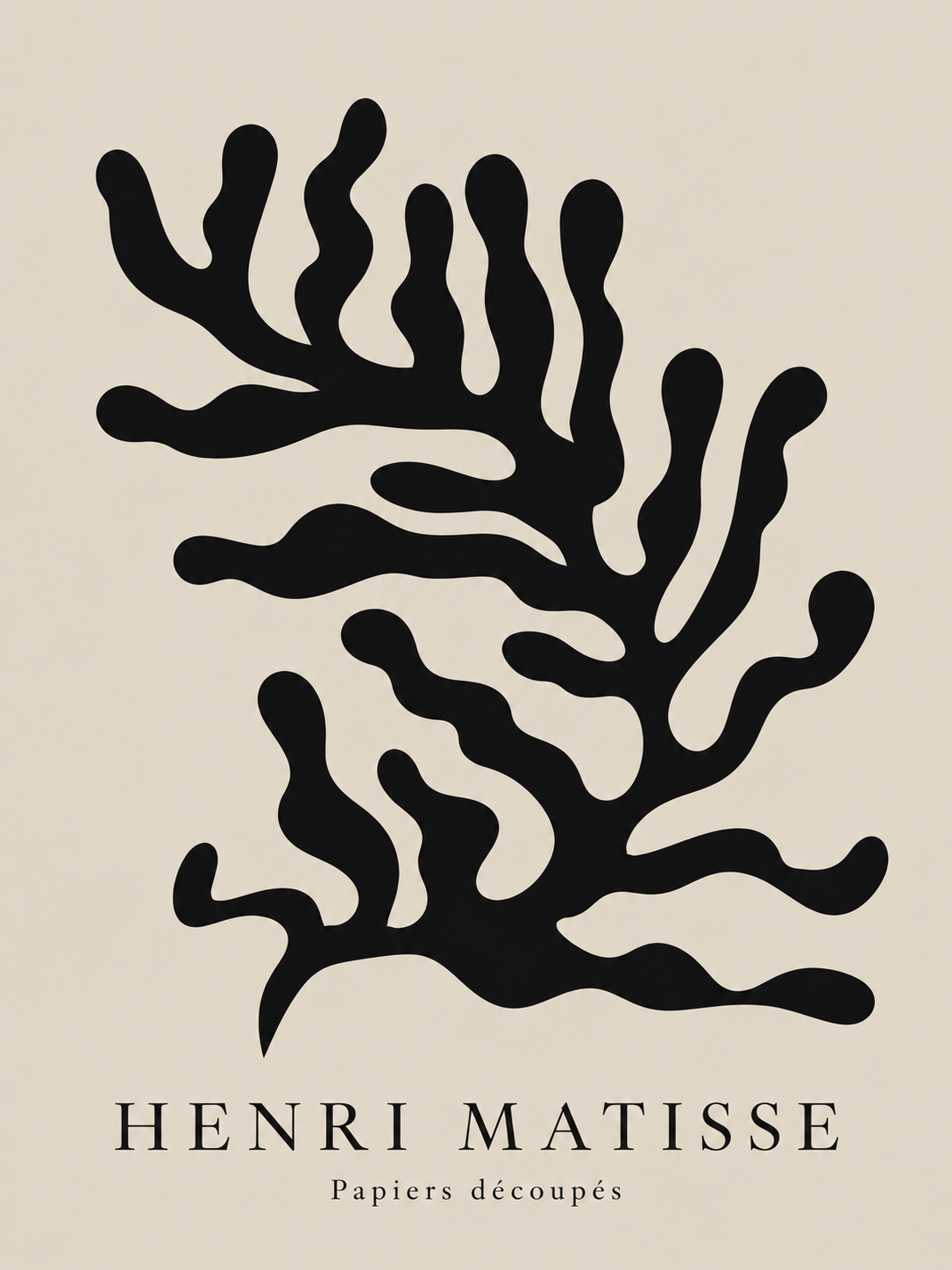 Matisse #21