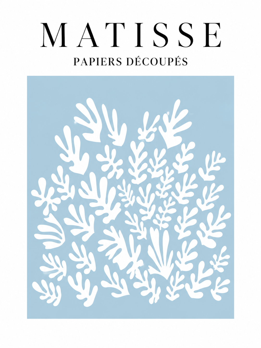 Matisse #214