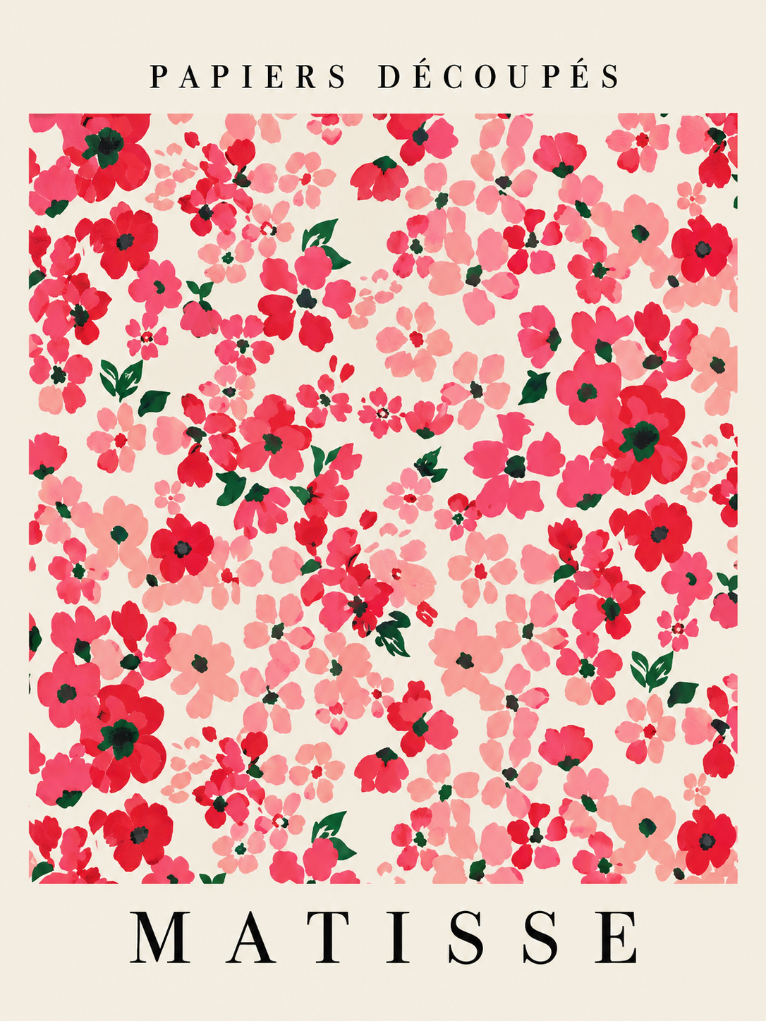 Matisse #221