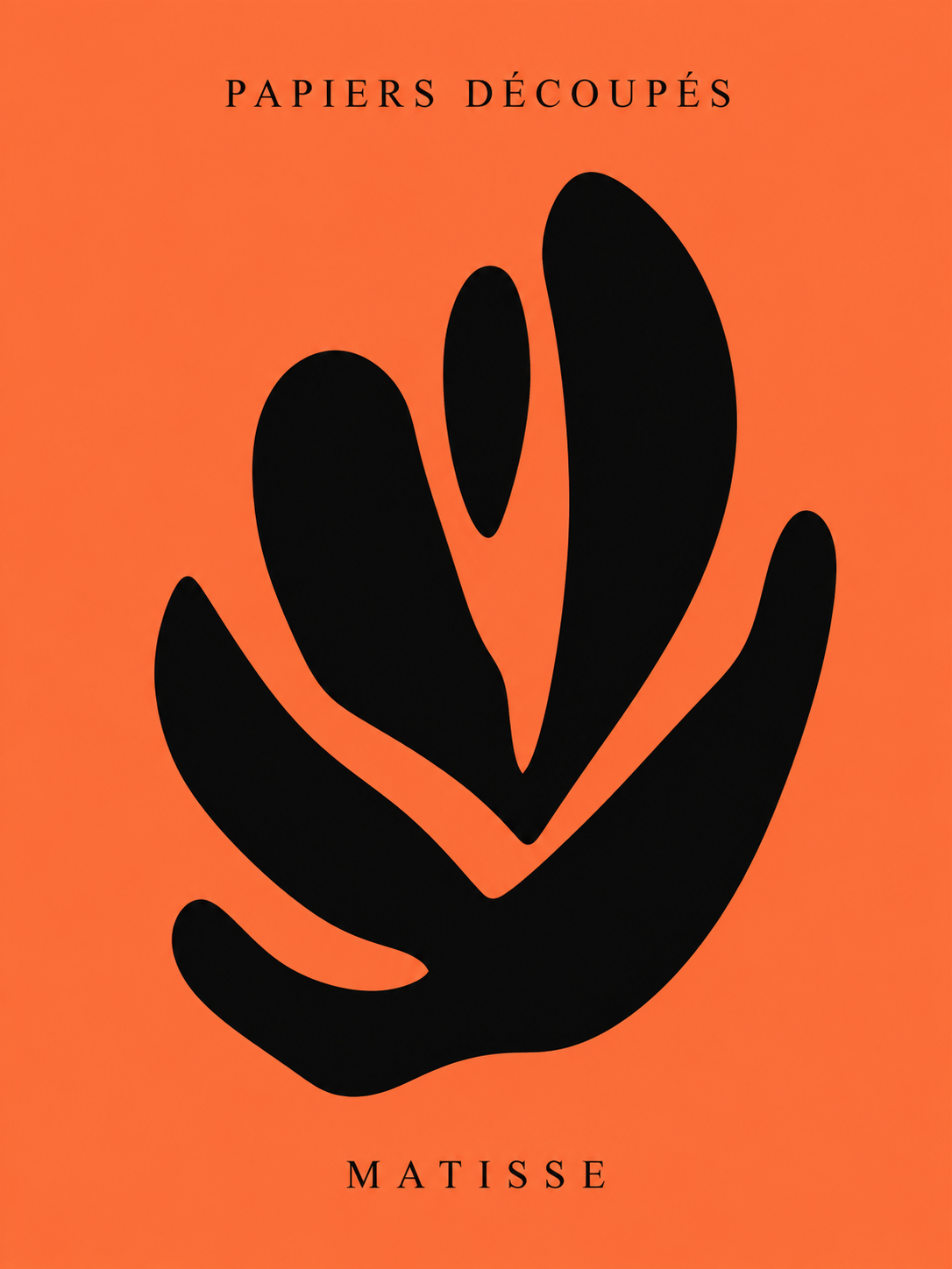 Matisse #242