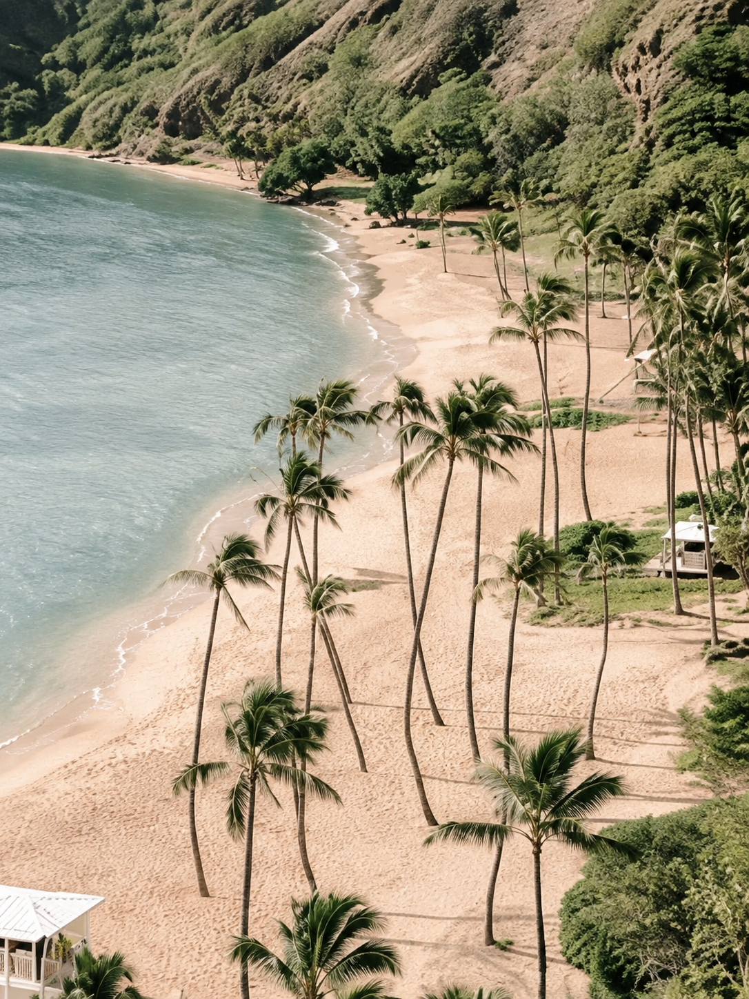 Playa de Palmeras