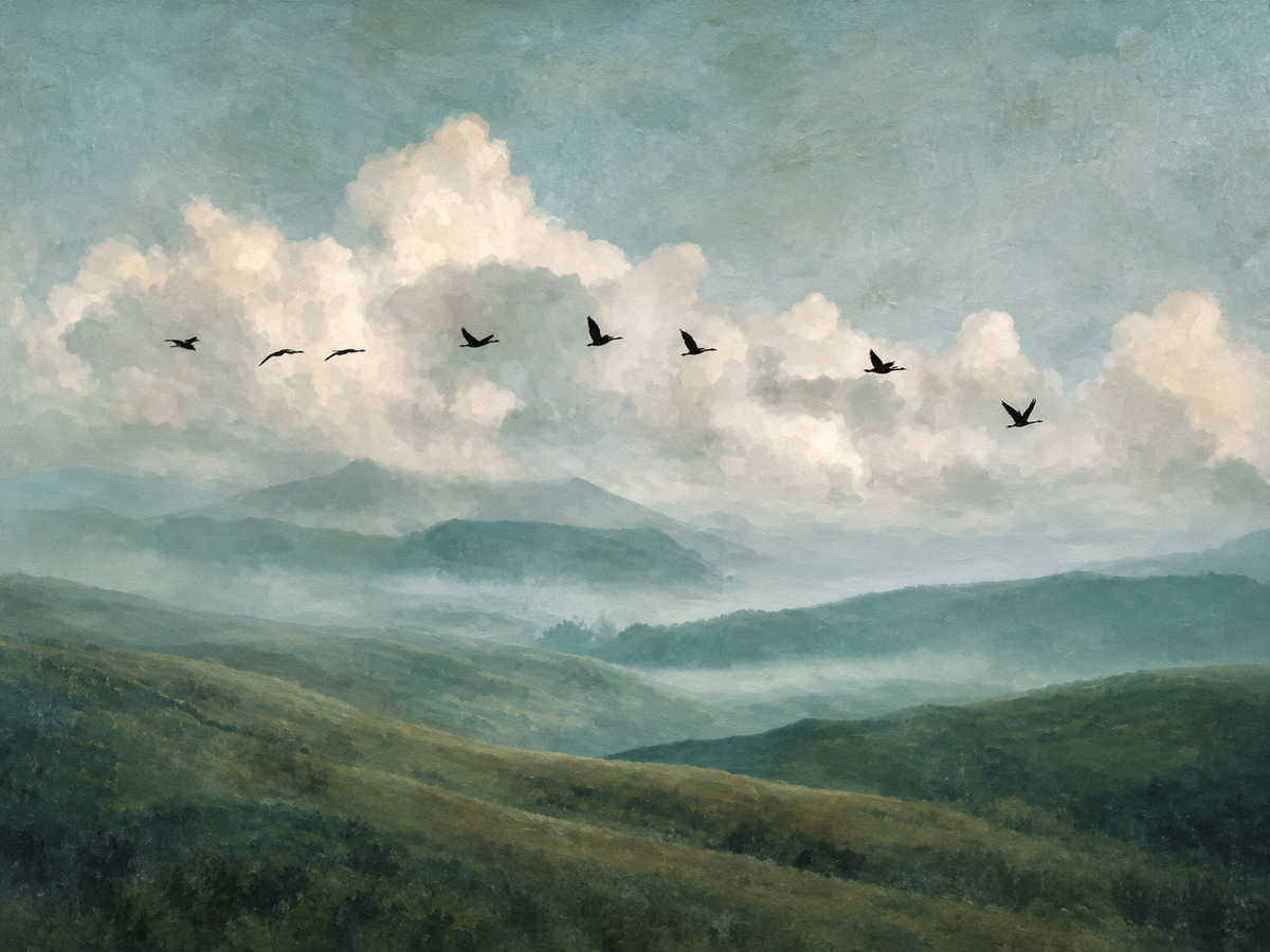 Montañas entre Nubes