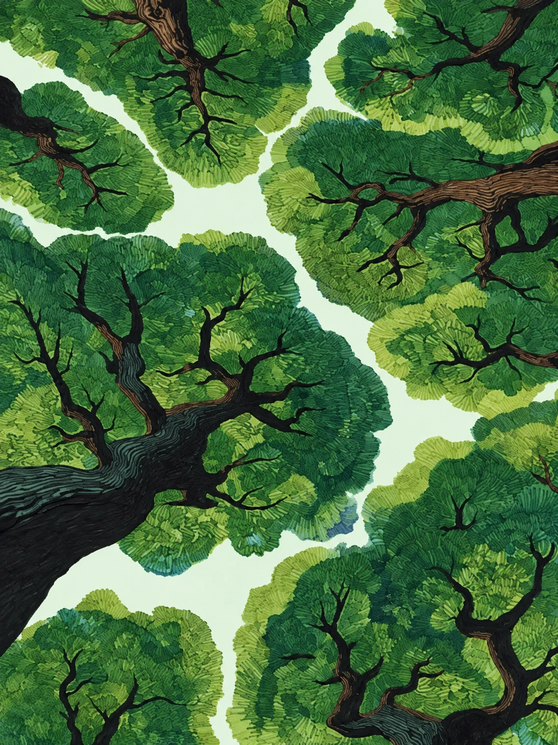 Copa de Árbol