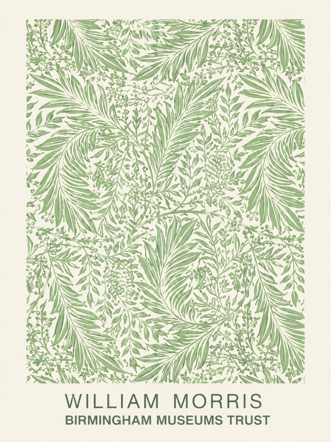 Morris Verde