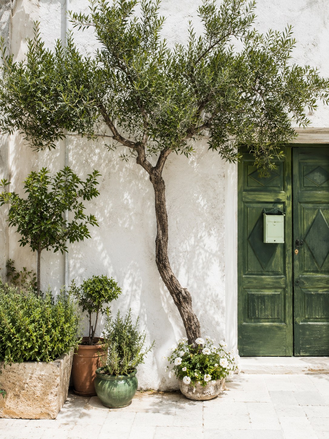 Entrada Verde